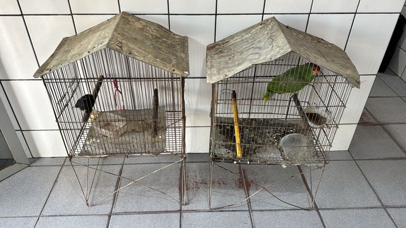 Foto: Reprodução/Polícia Militar - ES