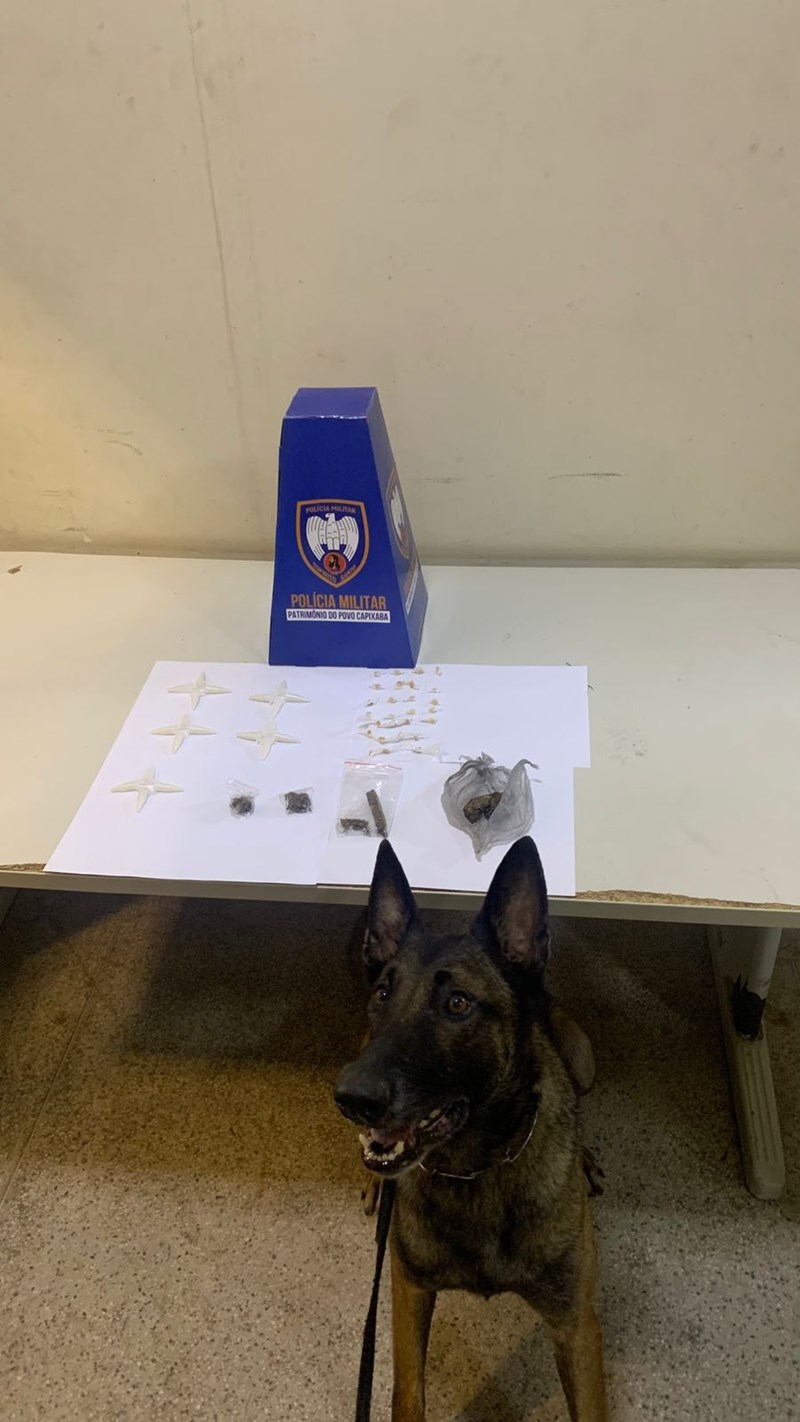 Foto: Reprodução/Polícia Militar - ES