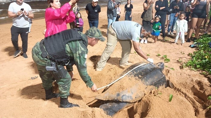 Foto: Reprodução/Polícia Militar - ES