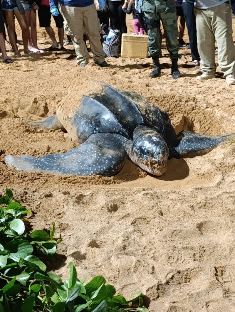 Foto: Reprodução/Polícia Militar - ES