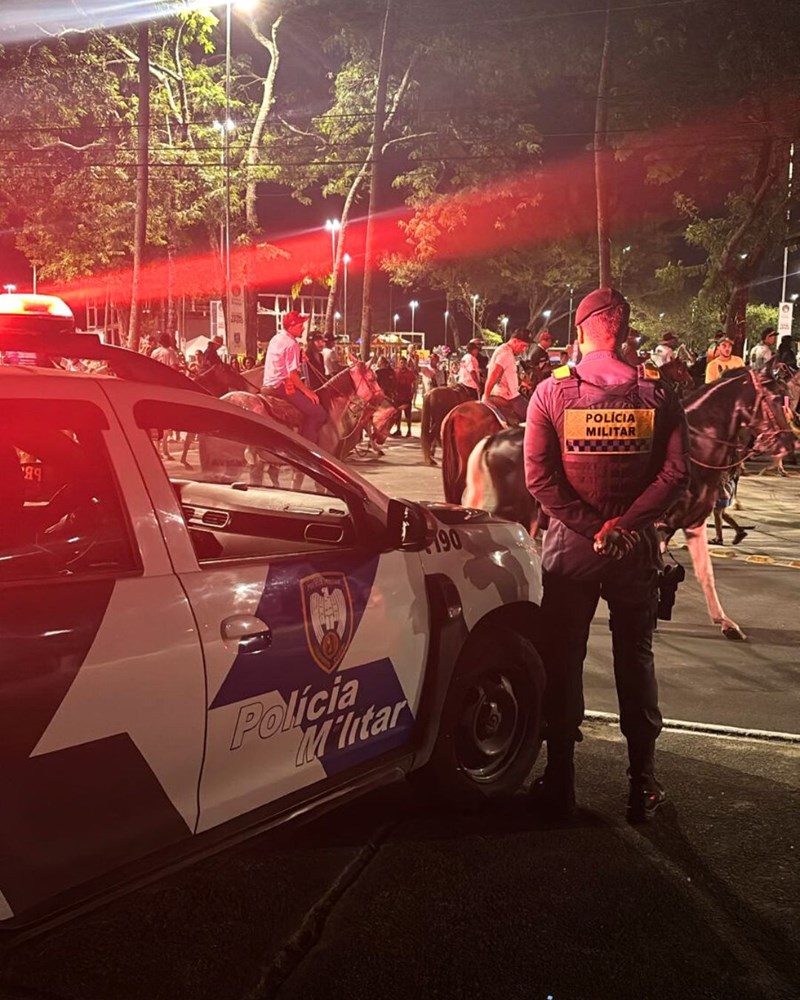 Foto: Reprodução/Polícia Militar - ES