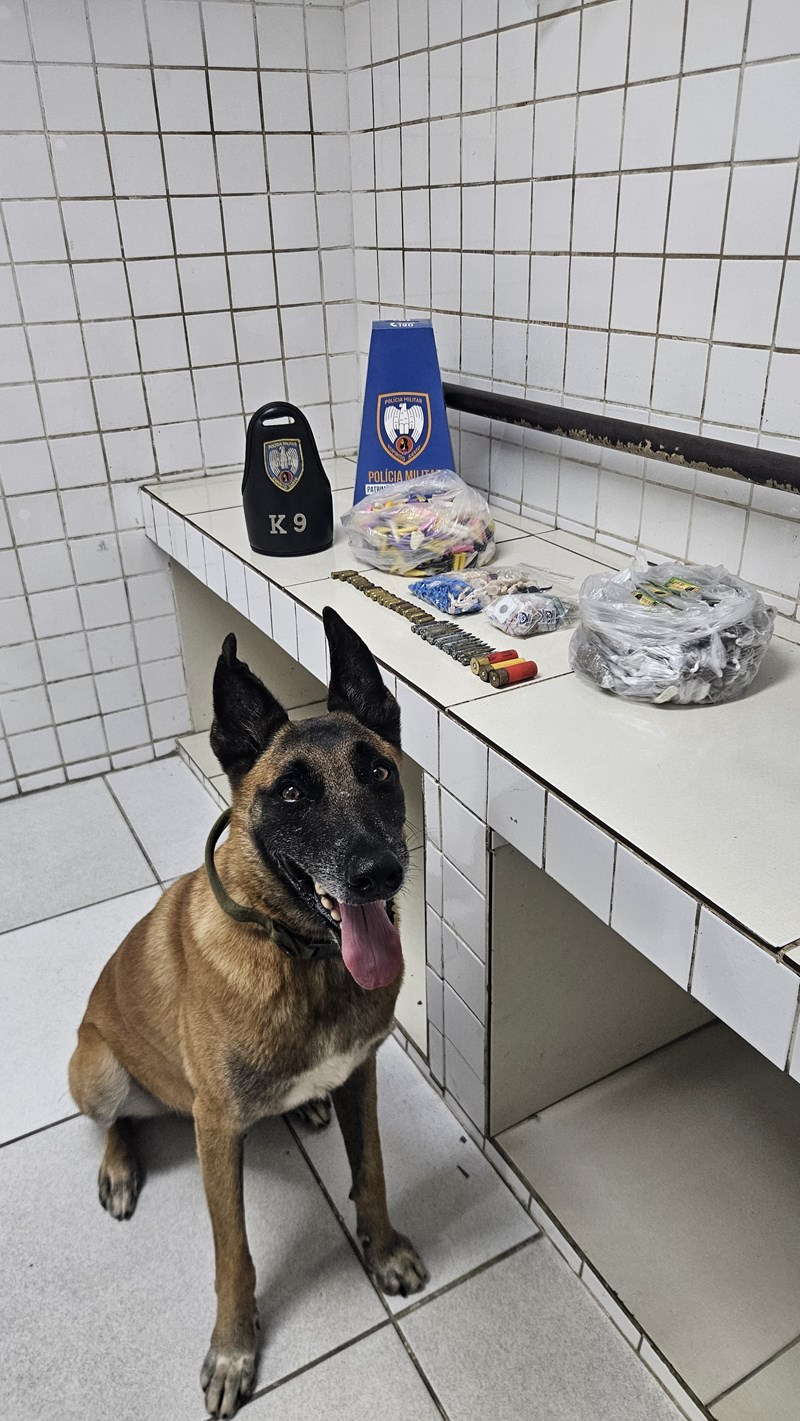 Foto: Reprodução/Polícia Militar - ES