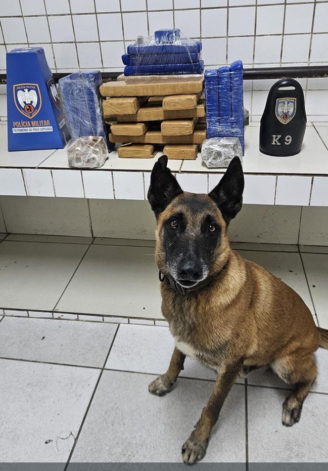 Foto: Reprodução/Polícia Militar - ES