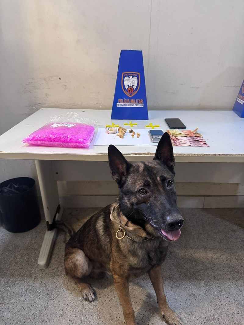 Foto: Reprodução/Polícia Militar - ES