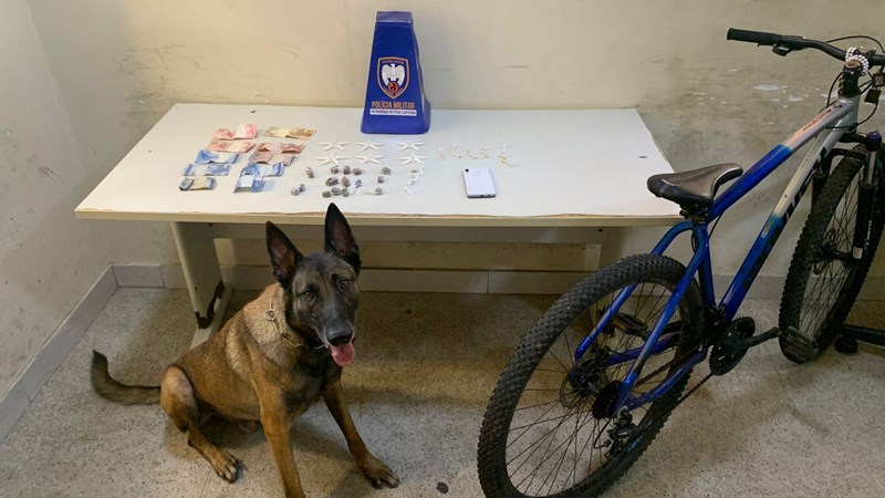 Foto: Reprodução/Polícia Militar - ES