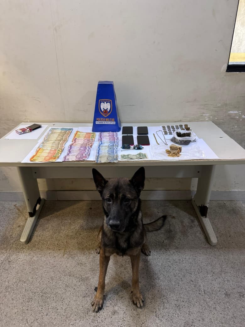 Foto: Reprodução/Polícia Militar - ES