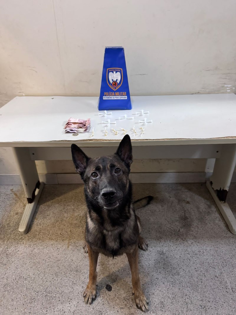 Foto: Reprodução/Polícia Militar - ES