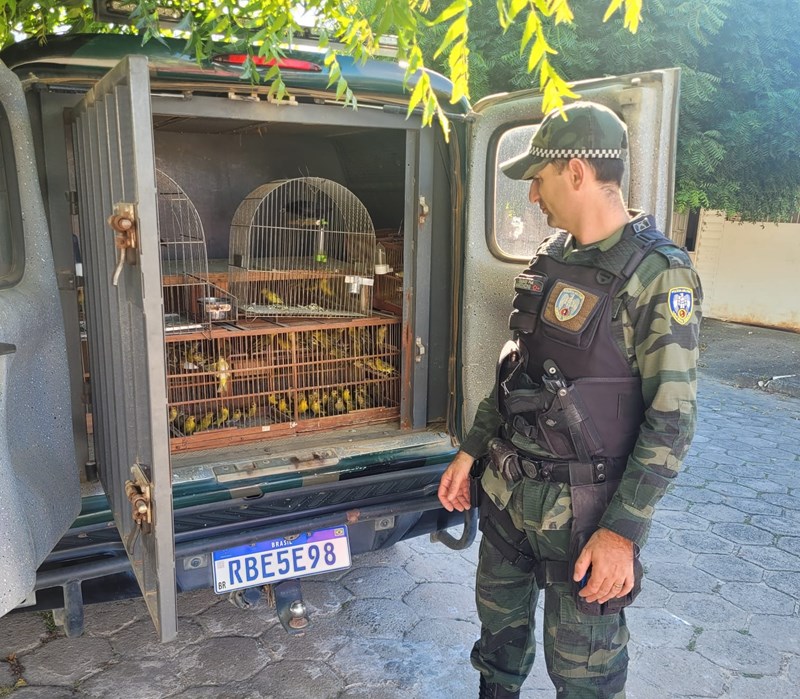 Foto: Reprodução/Polícia Militar - ES