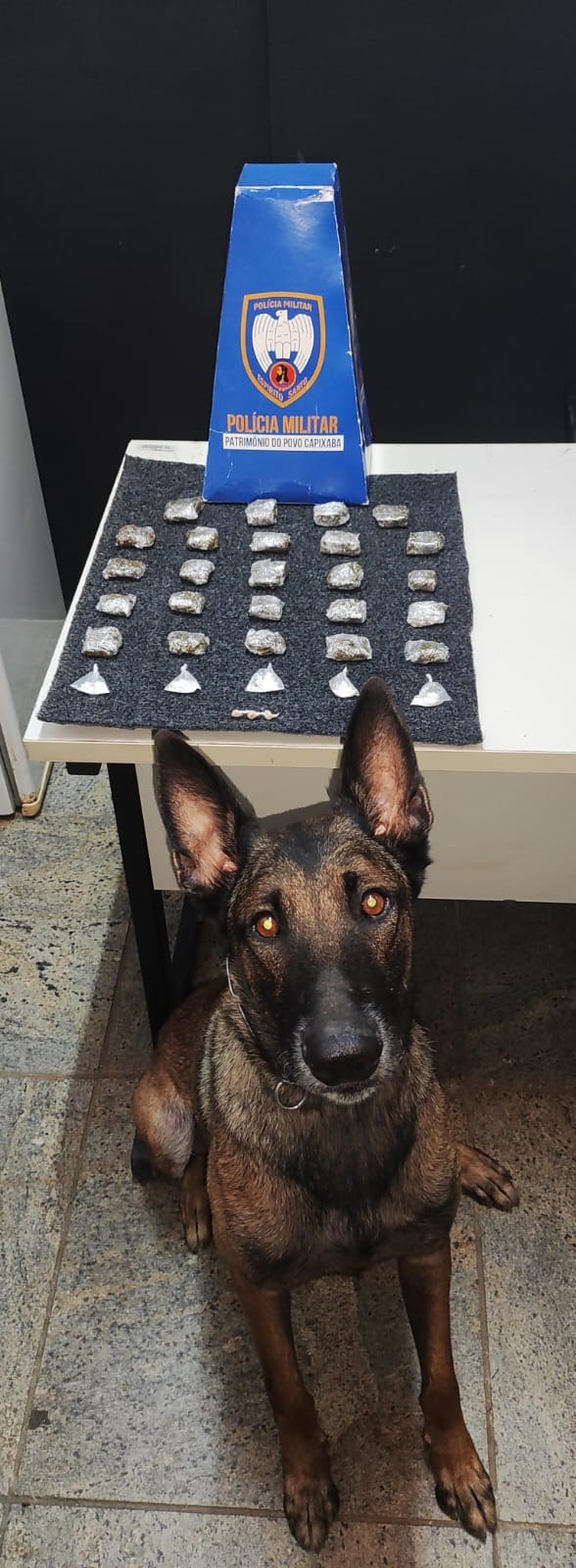 Foto: Reprodução/Polícia Militar - ES