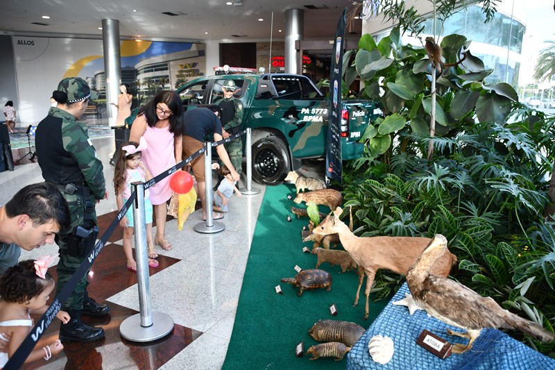 Foto: Reprodução/Polícia Militar - ES