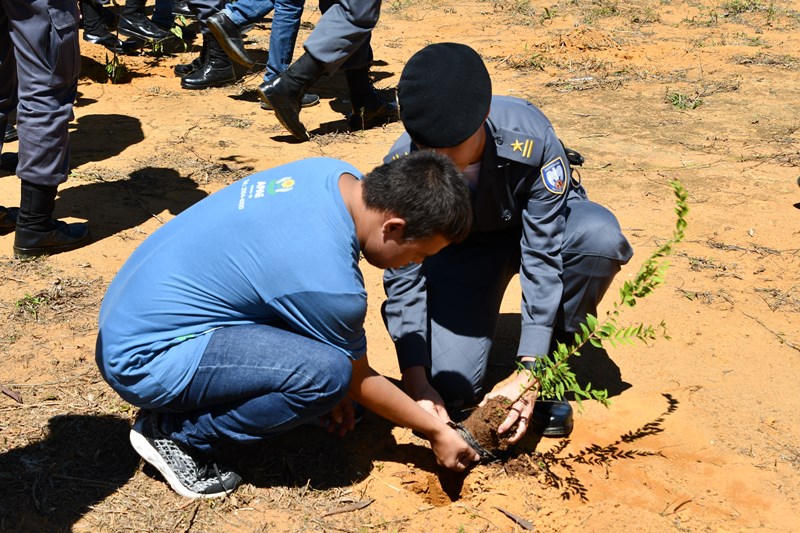 Foto: Reprodução/Polícia Militar - ES