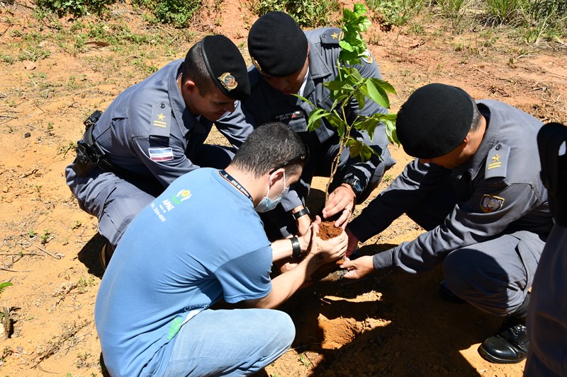 Foto: Reprodução/Polícia Militar - ES