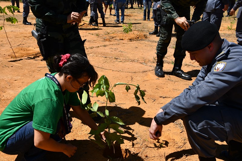 Foto: Reprodução/Polícia Militar - ES