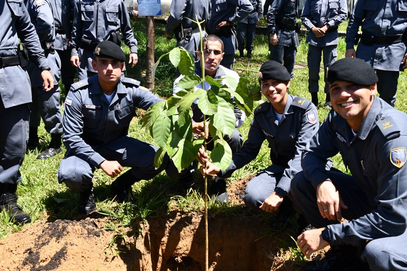 Foto: Reprodução/Polícia Militar - ES