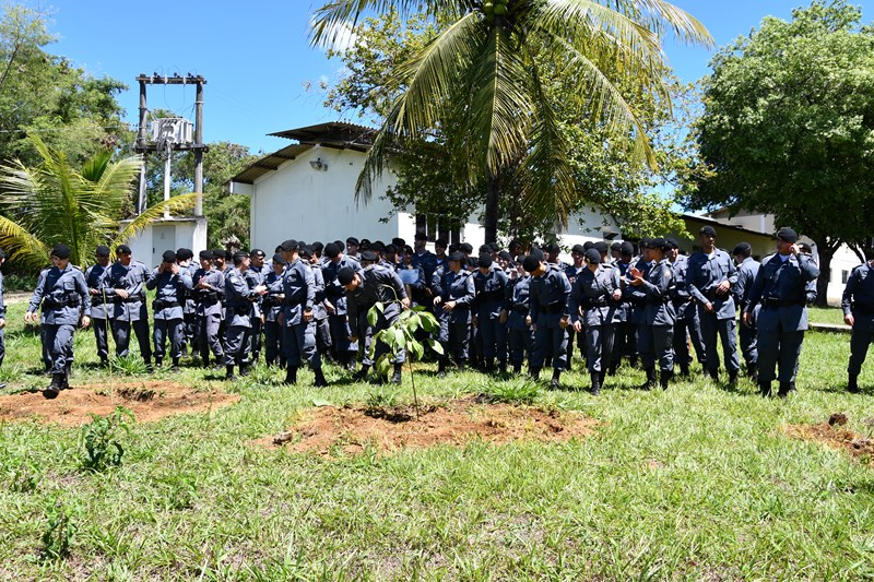 Foto: Reprodução/Polícia Militar - ES