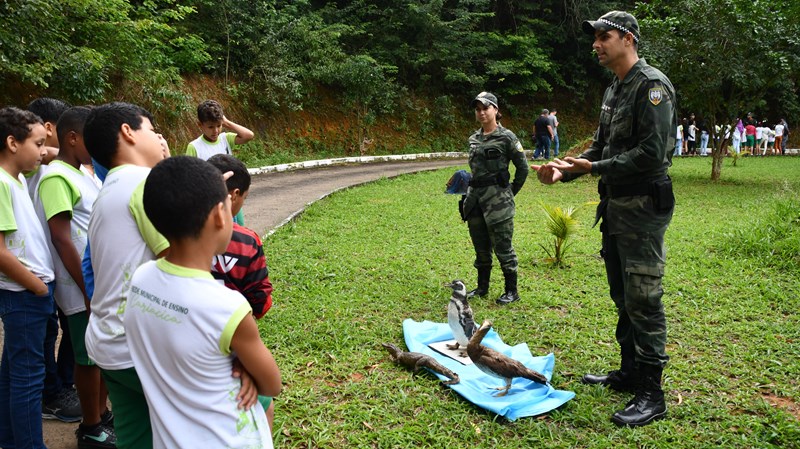 Foto: Reprodução/Polícia Militar - ES