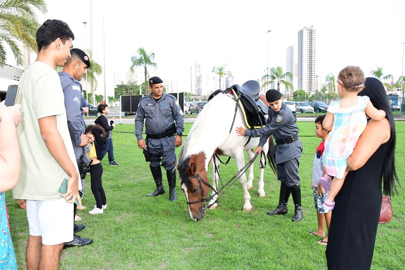 Foto: Reprodução/Polícia Militar - ES