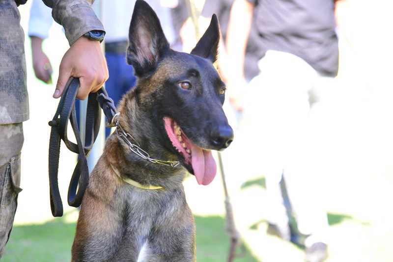 Foto: Reprodução/Polícia Militar - ES