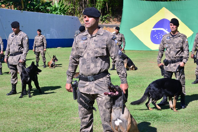 Foto: Reprodução/Polícia Militar - ES