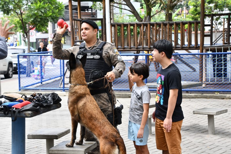 Foto: Reprodução/Polícia Militar - ES