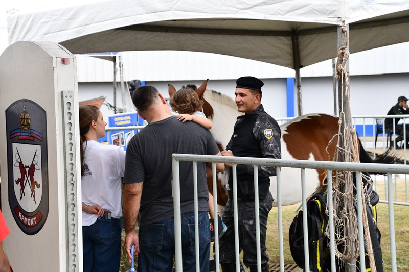 Foto: Reprodução/Polícia Militar - ES
