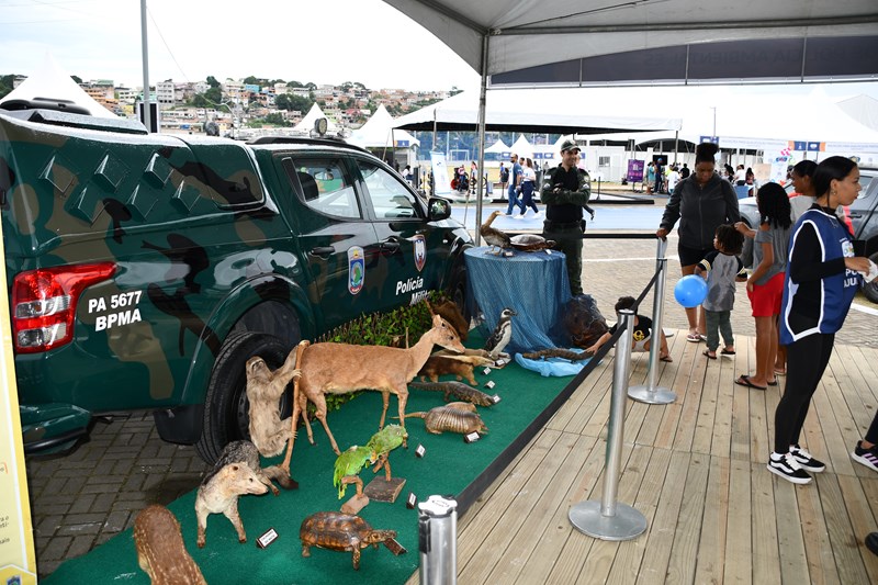Foto: Reprodução/Polícia Militar - ES