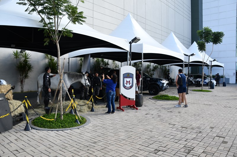 Foto: Reprodução/Polícia Militar - ES