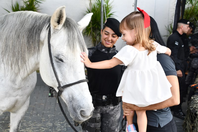 Foto: Reprodução/Polícia Militar - ES