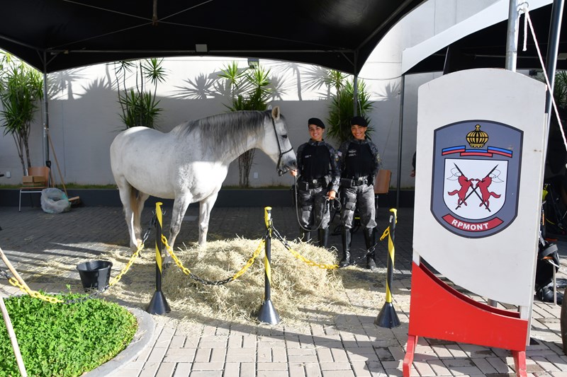 Foto: Reprodução/Polícia Militar - ES