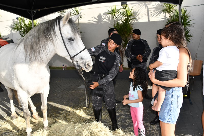 Foto: Reprodução/Polícia Militar - ES