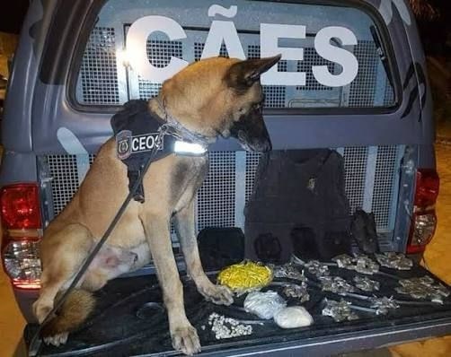 Foto: Reprodução/Polícia Militar - ES