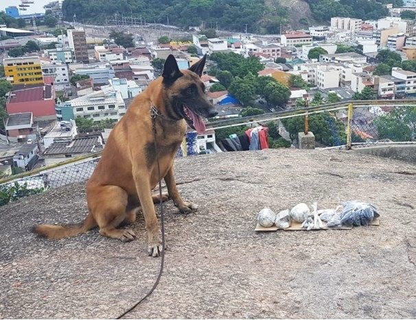 Foto: Reprodução/Polícia Militar - ES