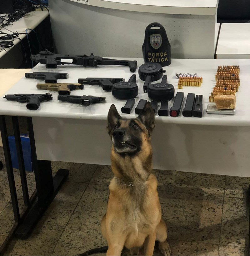 Foto: Reprodução/Polícia Militar - ES