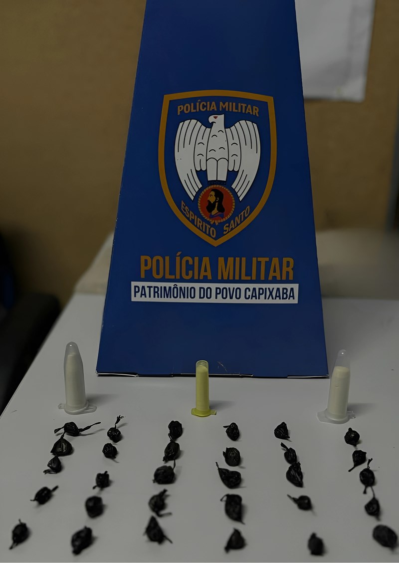 Foto: Reprodução/Polícia Militar - ES