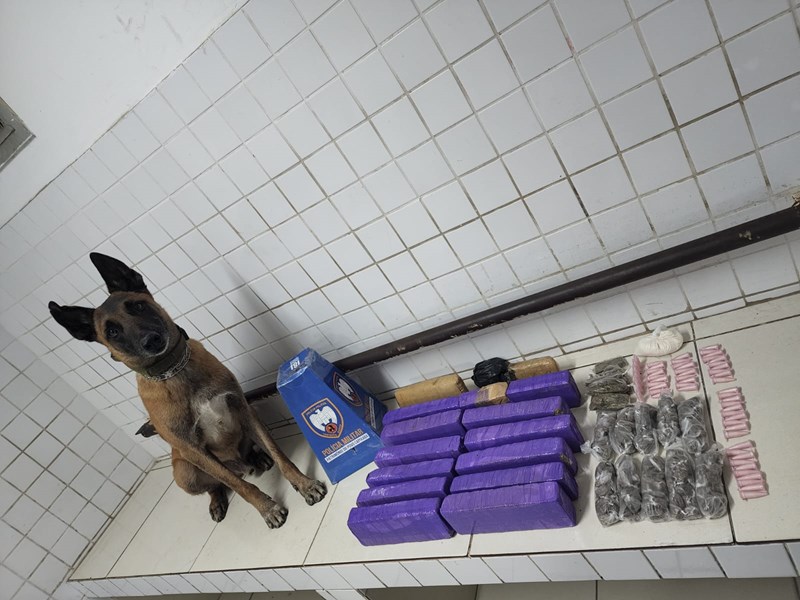 Foto: Reprodução/Polícia Militar - ES