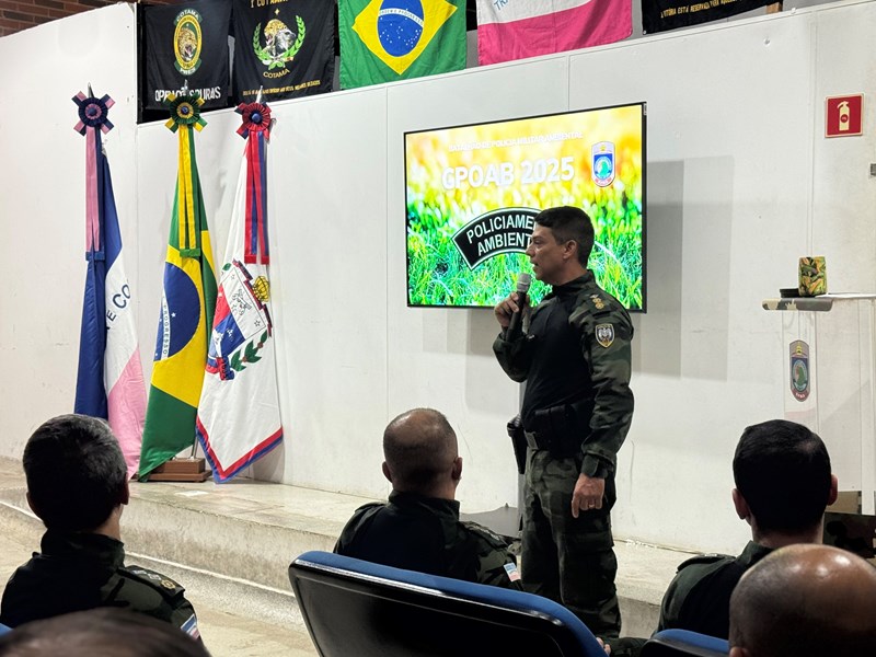 Foto: Reprodução/Polícia Militar - ES