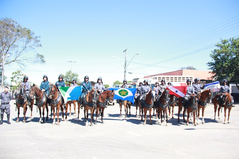 PMES - Cavalaria realiza formatura dos Centauros do V Curso de Choque  Montado