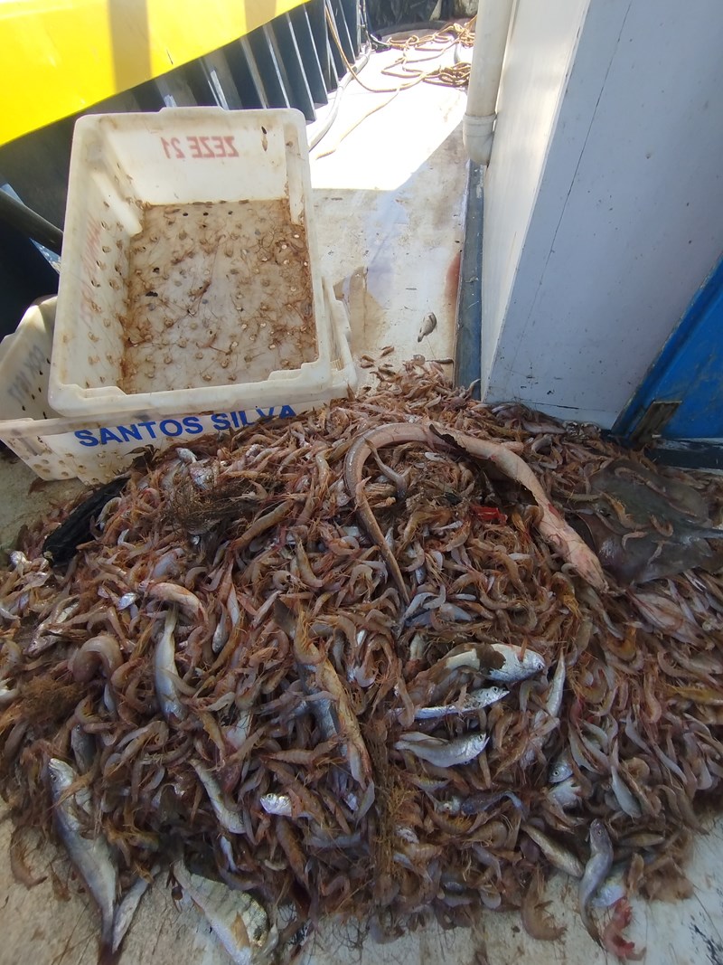 Foto: Reprodução/Polícia Militar - ES