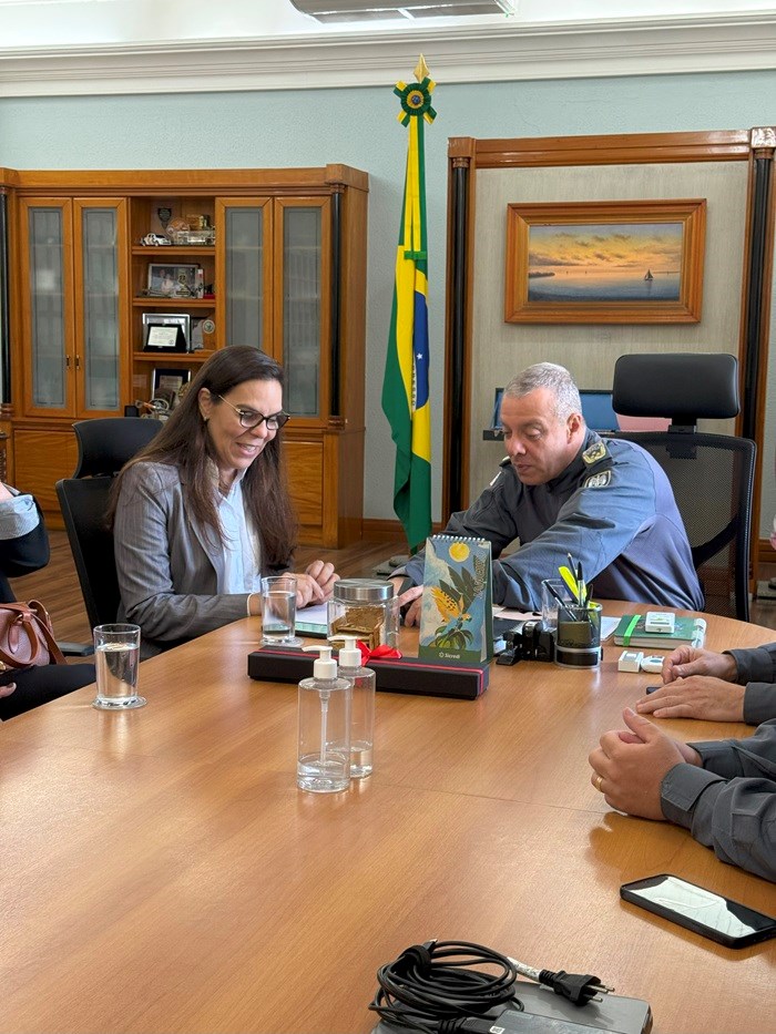 Foto: Reprodução/Polícia Militar - ES