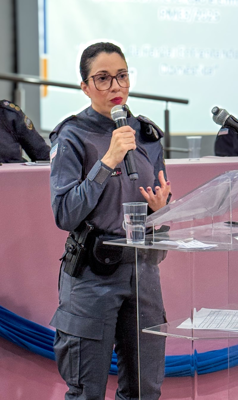 Foto: Reprodução/Polícia Militar - ES