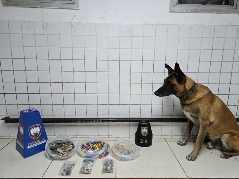 Foto: Reprodução/Polícia Militar - ES