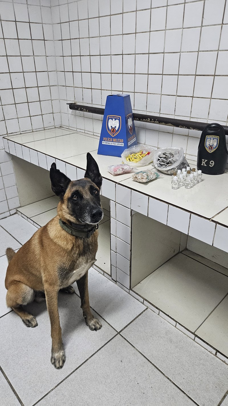 Foto: Reprodução/Polícia Militar - ES