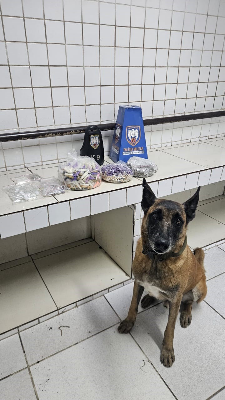 Foto: Reprodução/Polícia Militar - ES