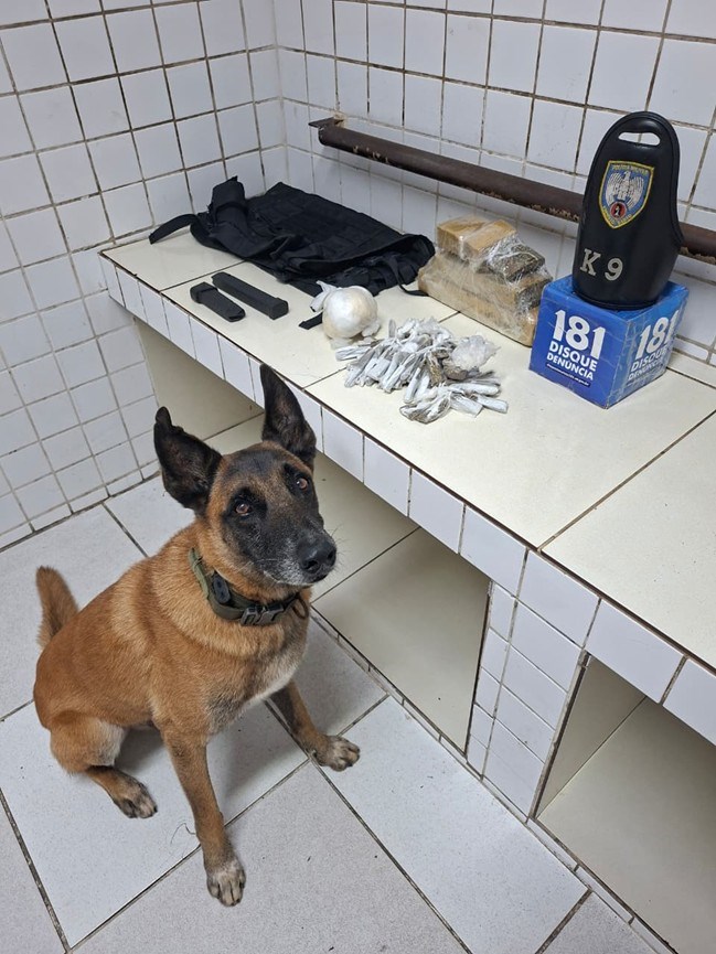 Foto: Reprodução/Polícia Militar - ES