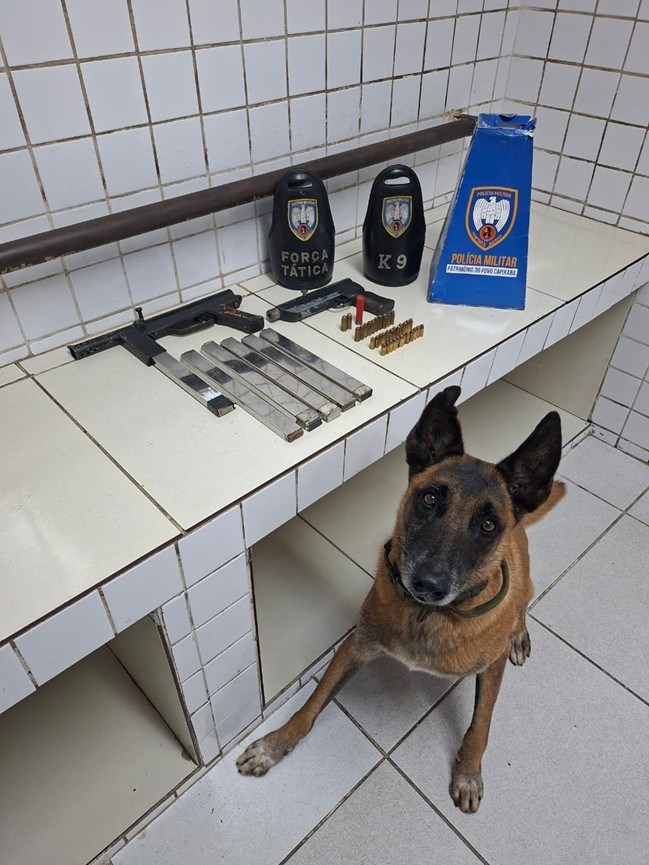 Foto: Reprodução/Polícia Militar - ES