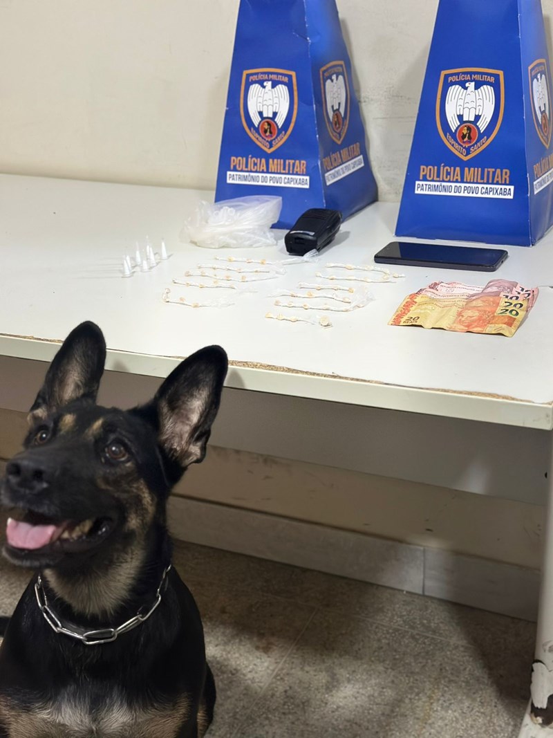 Foto: Reprodução/Polícia Militar - ES