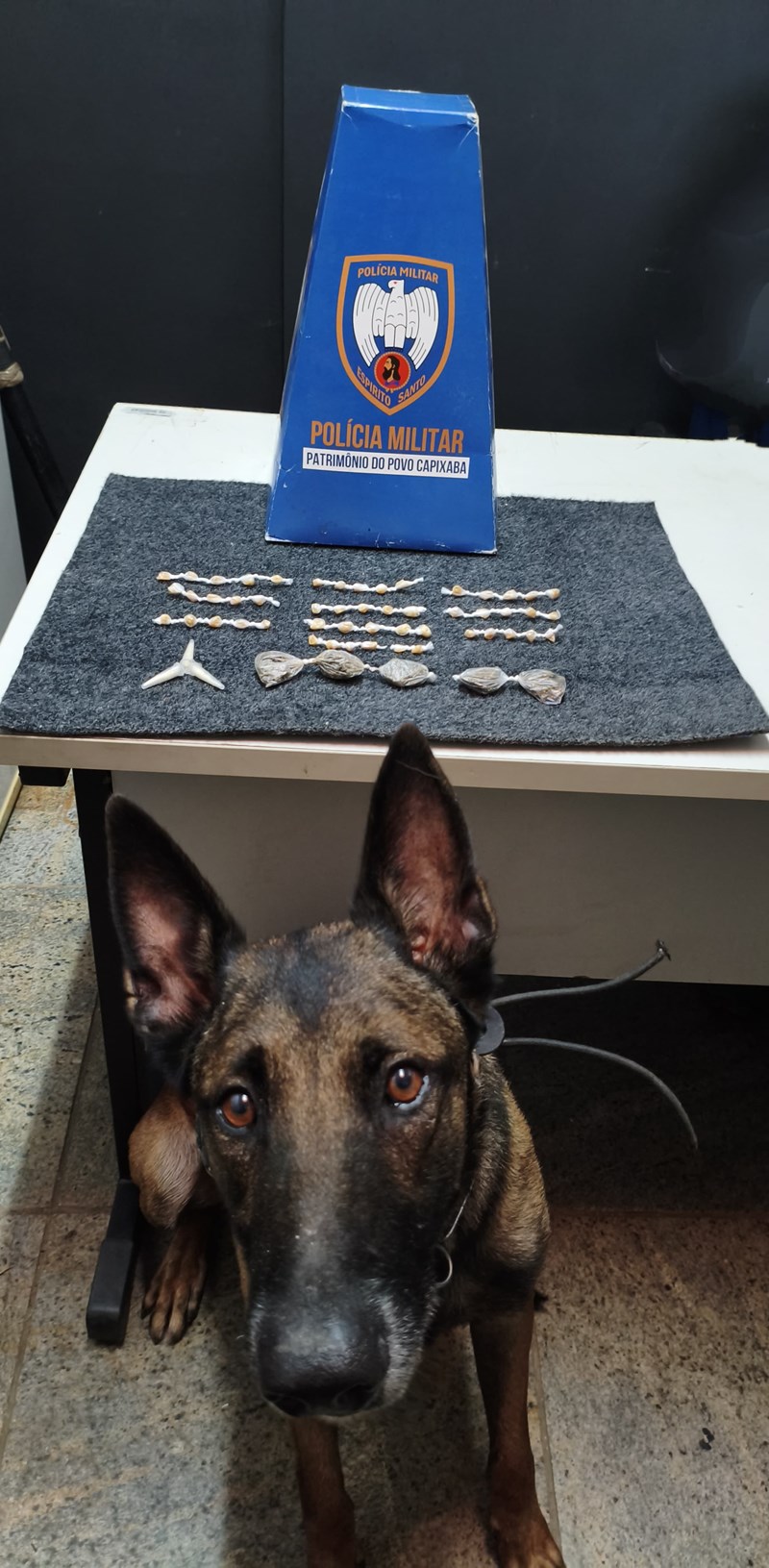 Foto: Reprodução/Polícia Militar - ES