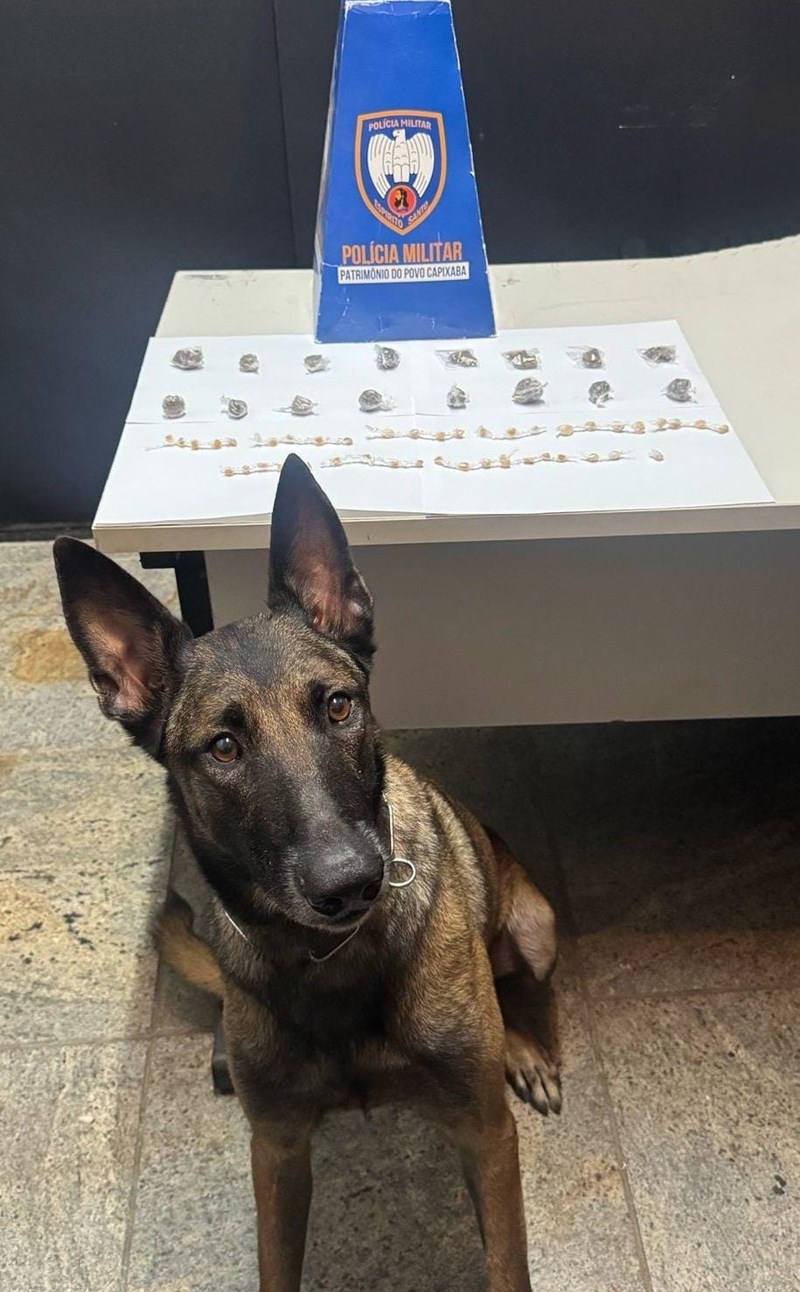 Foto: Reprodução/Polícia Militar - ES