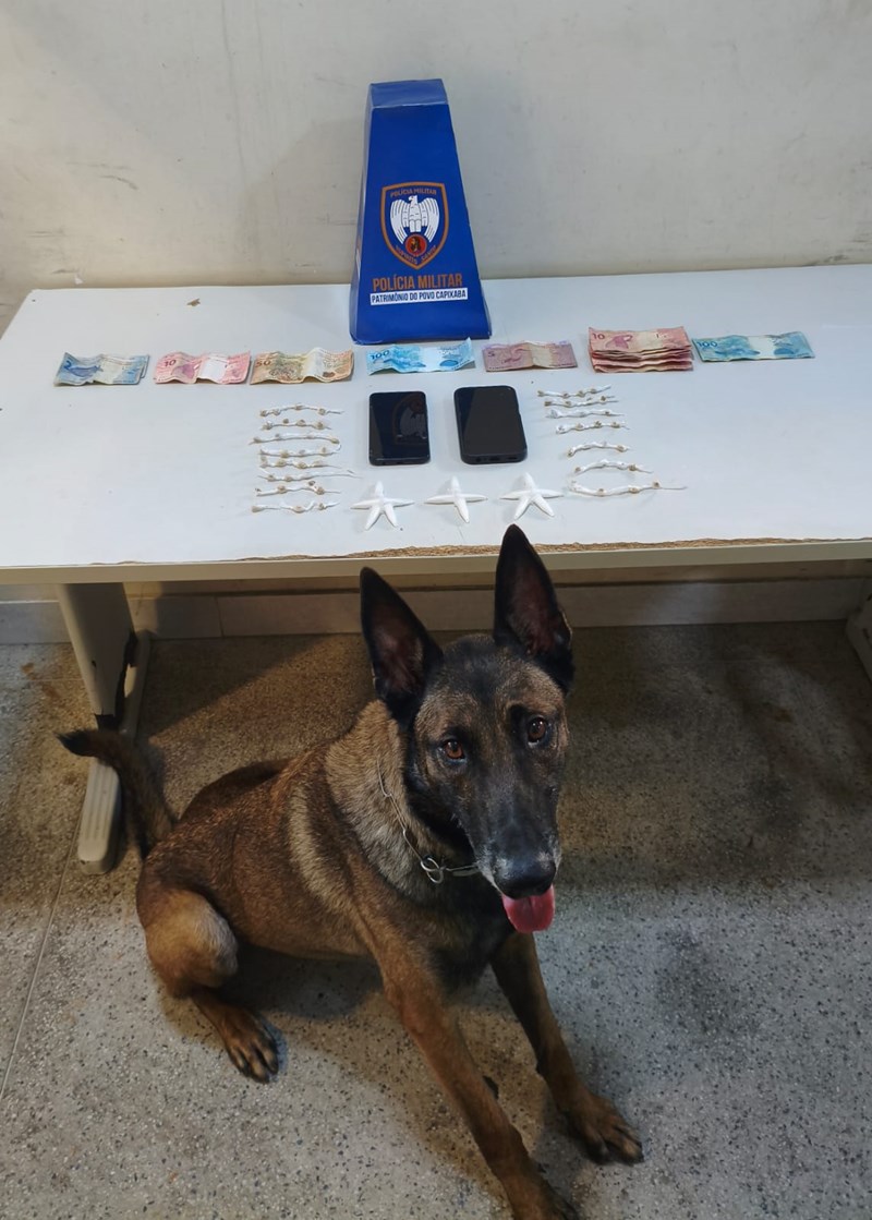 Foto: Reprodução/Polícia Militar - ES