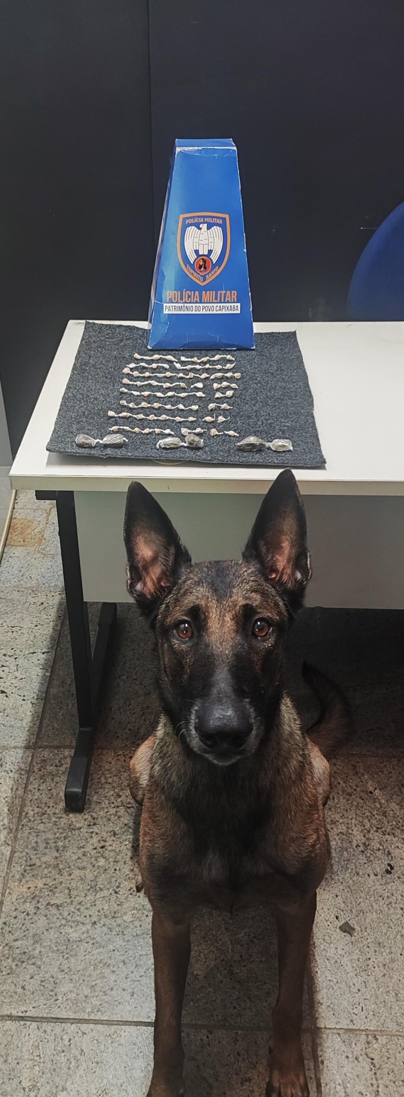 Foto: Reprodução/Polícia Militar - ES